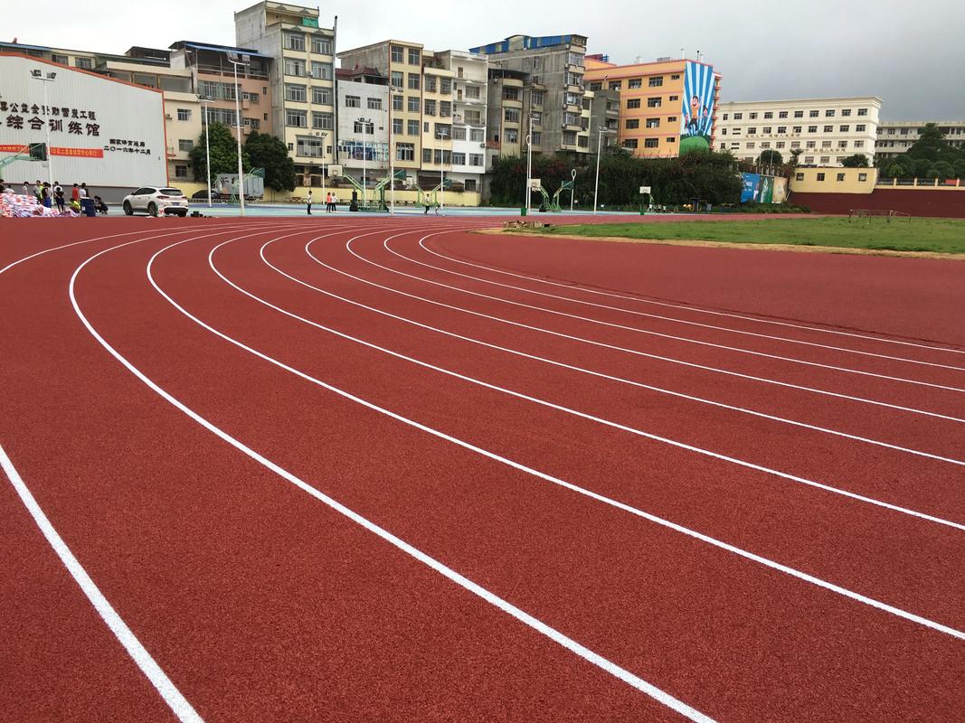 宁波市人造草坪塑胶跑道材料 - 厂家